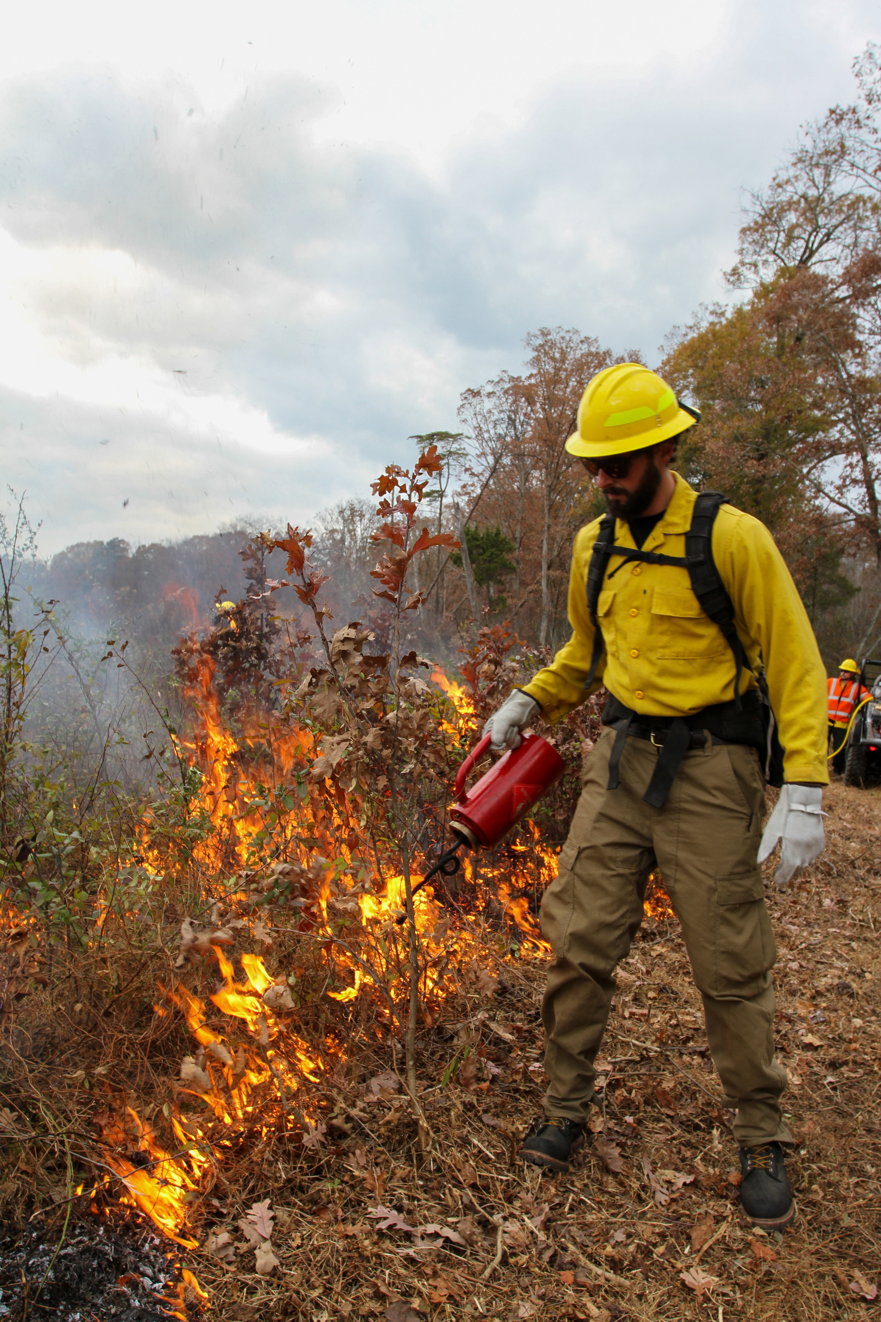 Wildland firefighters use drip torches and tools manage prescribed fire near Brawner Farm at Manassas National Battlefield Park. 