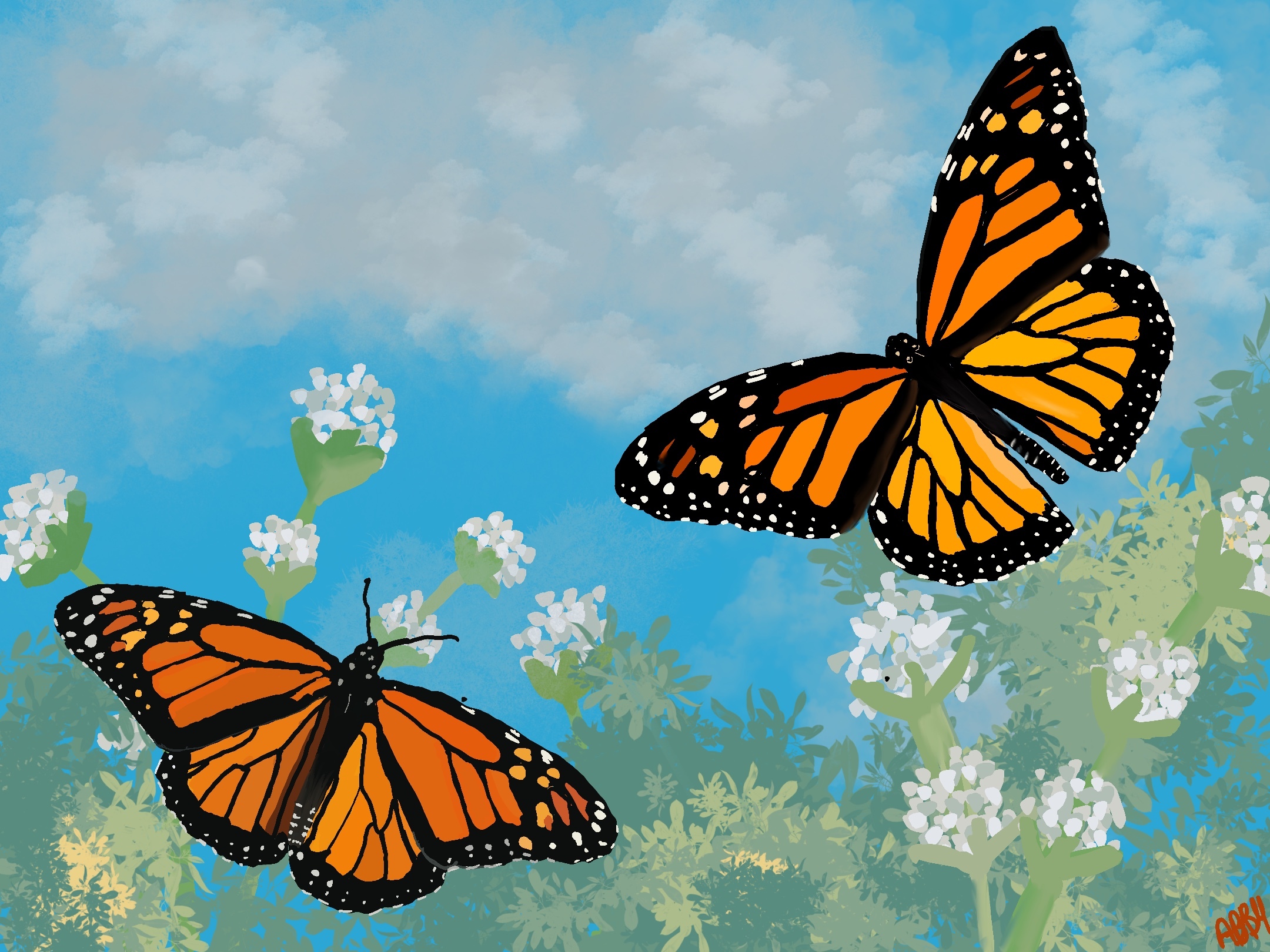 digital art of two black and orange butterflies with white flowers and blue sky