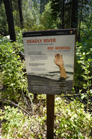 An sign with a hand sticking out of the water and text sits in front of a large bush. In the background there are many trees.