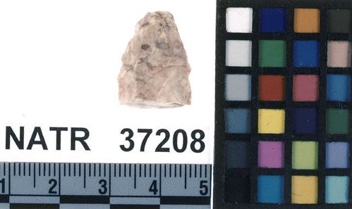 NATR   37208 -- Untyped projectile point