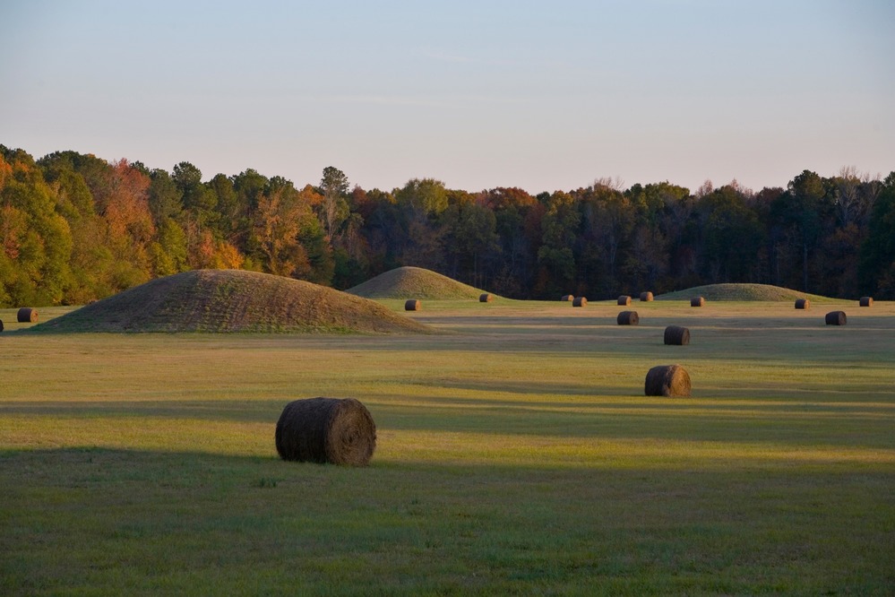 This 90-acre complex of 8 burial mounds was built from about 1,800 to 2,000 years ago. Pharr Mounds is one of 6 mound groups along the Parkway.