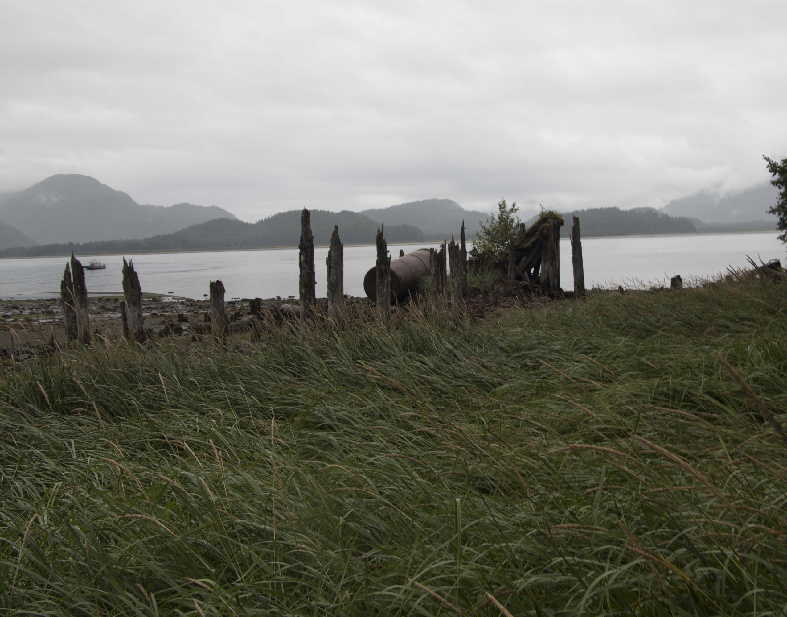 A view towards a foggy bay  with low, grey clouds and mountains in the distance. In the foreground, grasses grow in a clearing, and a line of wooden piers on the shore is partly decayed.