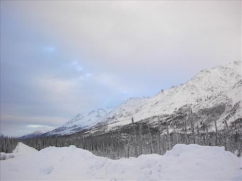 3 Gates of the Arctic National Park and Preserve Hares Survey Winter 2006