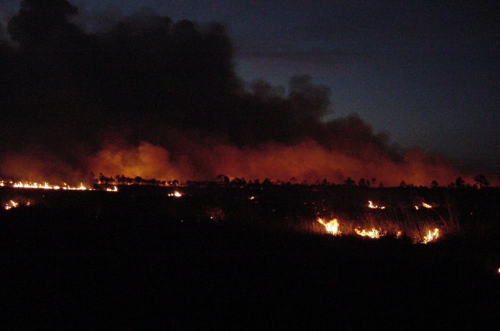 Landscape view of nighttime prescribed burn.