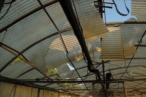 Major snow storm damage to greenhouse #4 at Kenilworth Aquatic Gardens - February 2010