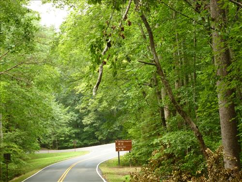 Remove Hazard Trees in Oak Ridge, Headquarters and Turkey Run Districts, Wind Storm 2012