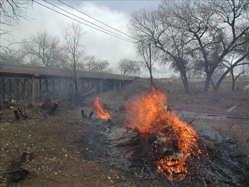 Hubbell Trading Post Exotic Species Pile Burning, February 2002