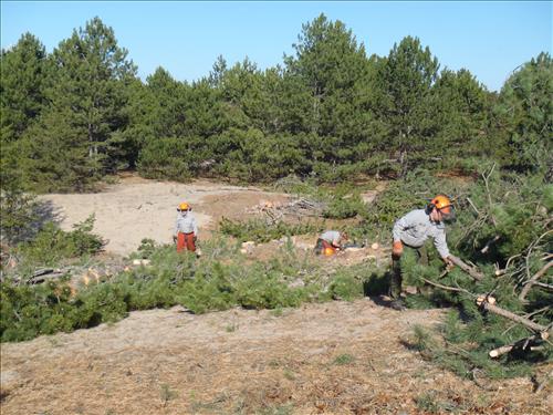 Dune and Prairie Warbler Habitat Restoration at Sleeping Bear Dunes NL from September 2010-October 2011