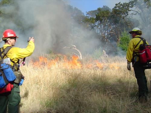Prescribed Fire