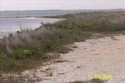 Murdock's Landing Campground