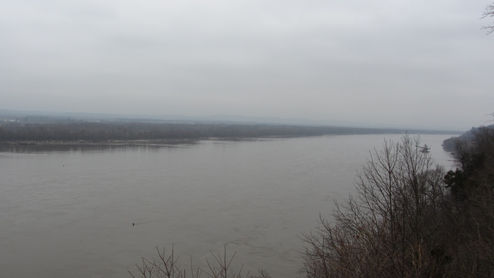 
A hazy view of a waterbody seen through bare trees from a high vantage point.