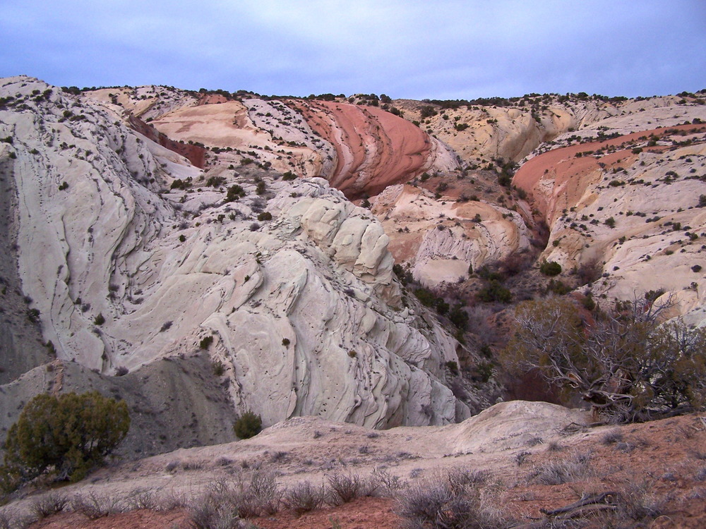 Various rock layers of different colors were twisted and folded by the uprising of the Rocky Mountains.