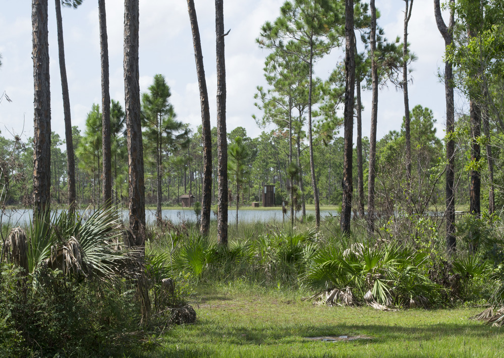 Everglades National Park Long Pine Key
