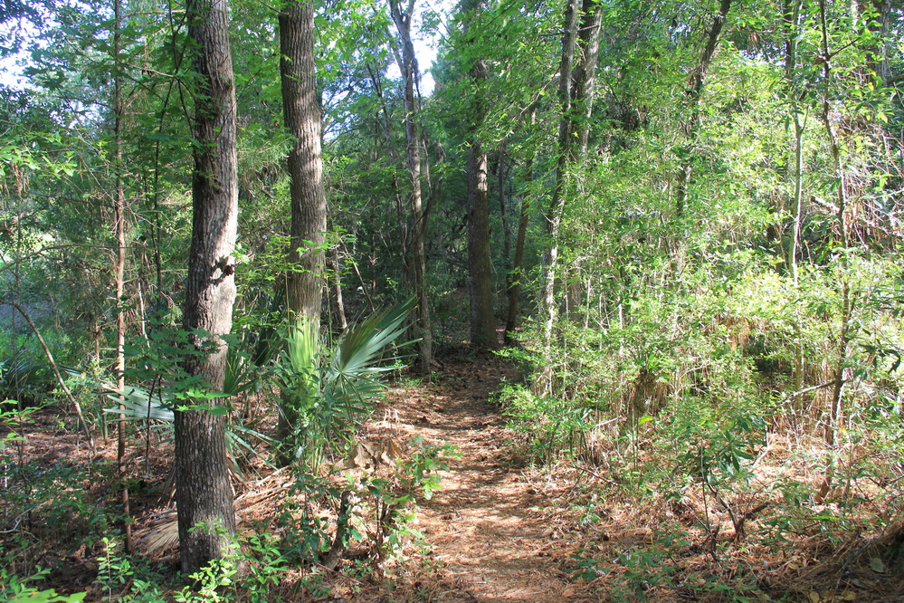 nature trail