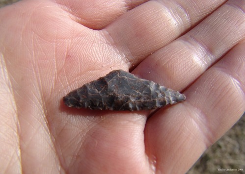 Chert sideblade recovered during site testing. Possibly dates to the Norton period, 2000 years before present.