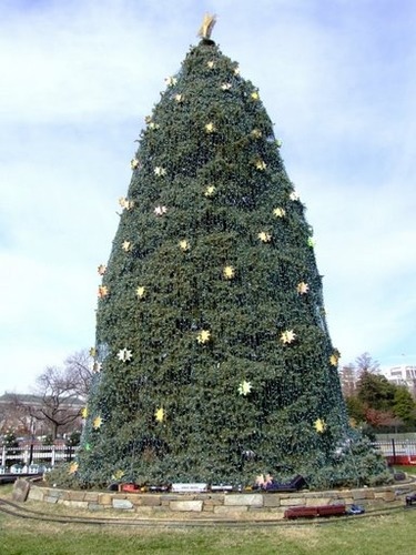 The National Christmas Tree is a Colorado blue spruce planted on the Ellipse in 1978. The tree was fifteen old and thirty feet tall when it arrived in our Nation's capital. Tonight, as it is lit for the 30th time since leaving the home of Mr. and Mrs. William E. Myers in York, Pennsylvania, the tree stands at lamost 42 feet tall.