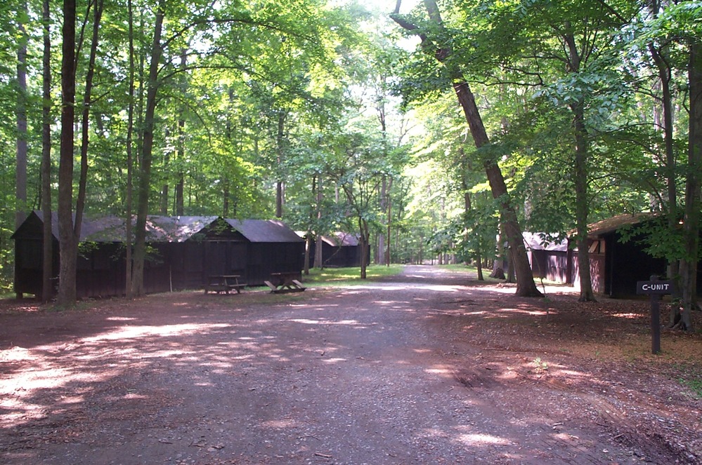 Wood cabins arranged along a gravel road and shaded by a green forest