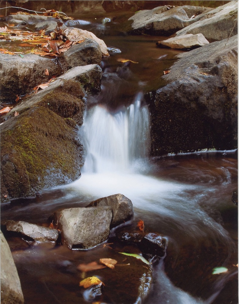 South Valley Trail Close up 2