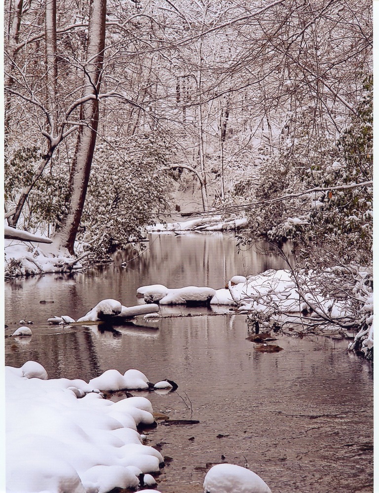 Winter on Quantico Falls Trail
