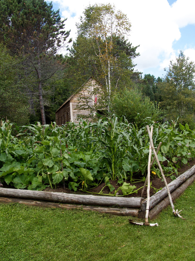 Garden with log building (canoe warehouse) in the background