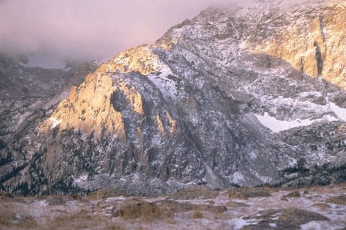 a photo of Terra Tomah