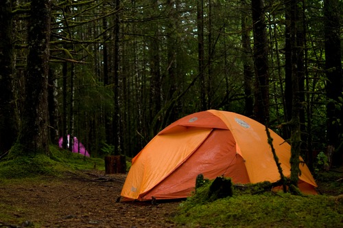 A bright orange tent amid a lush, mossy, green forest.