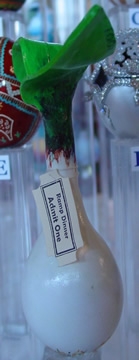 West Virginia - George Garton