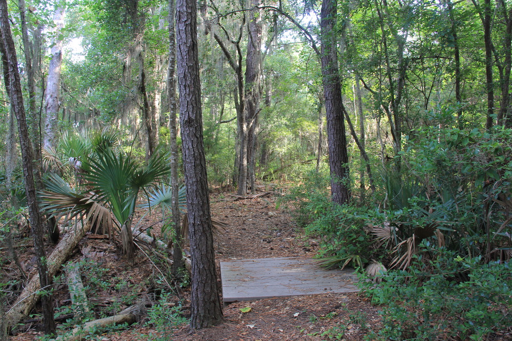 nature trail/boardwalk