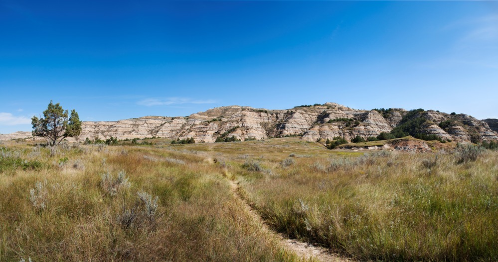 A trail heading into prairie grasses with barren buttes in the background.