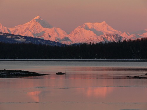 View from Bartlett Cove