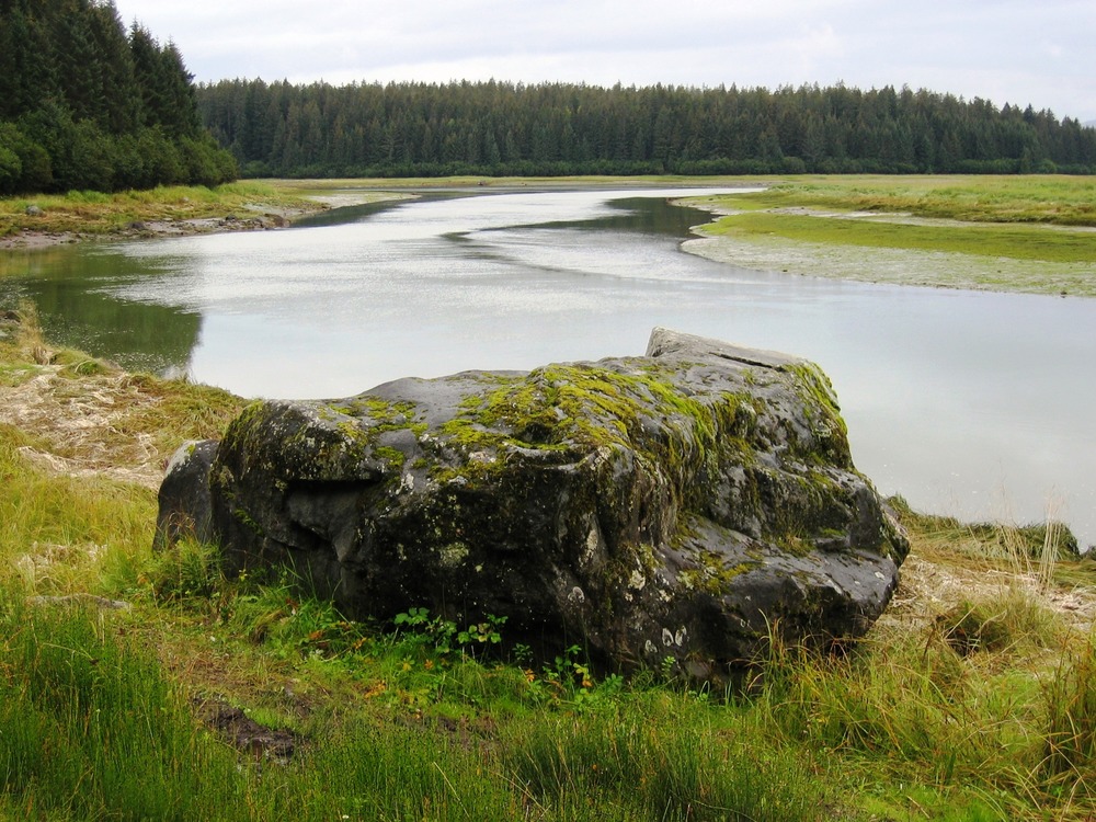 Glacier erratic along the Bartlett River