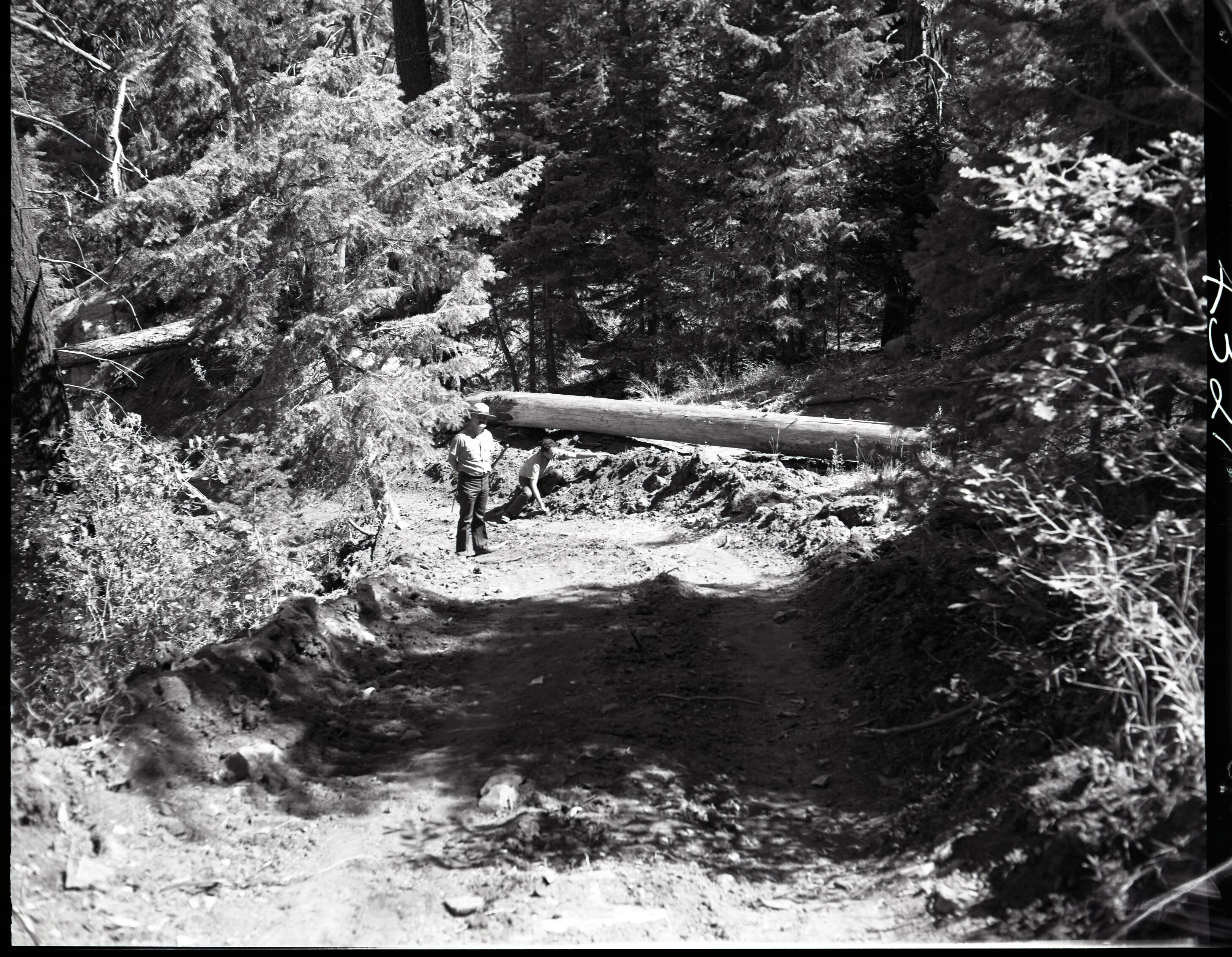 Dirt road from Potato Hollow to Kolob Creek, bulldozer graded road section on park land.