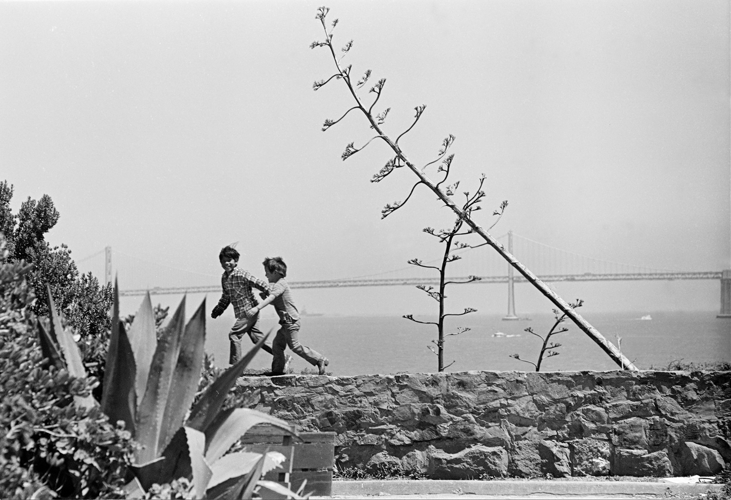 Two Indian children run on top of a wall with century plants around them and the Bay Bridge in the background