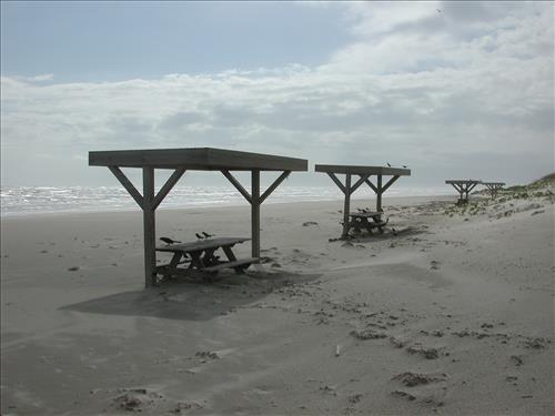 Scenery of Padre Island National Seashore