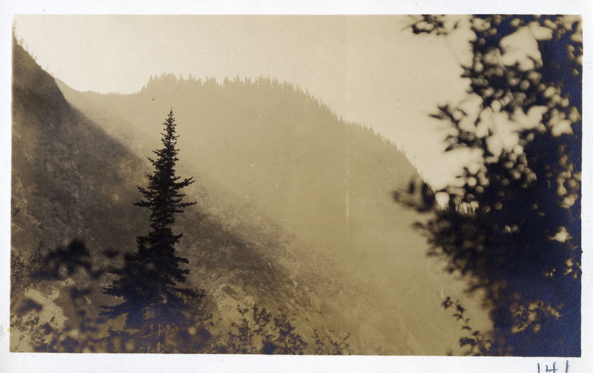 From a forest, a view of a round-top mountain in the distance.