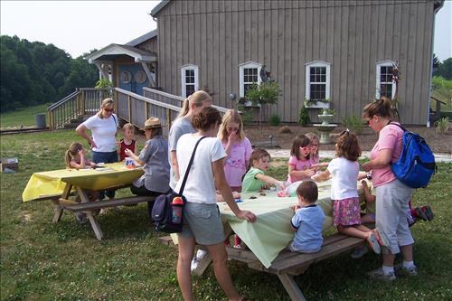Junior Ranger, Butterfly's Breakfast, Crafts