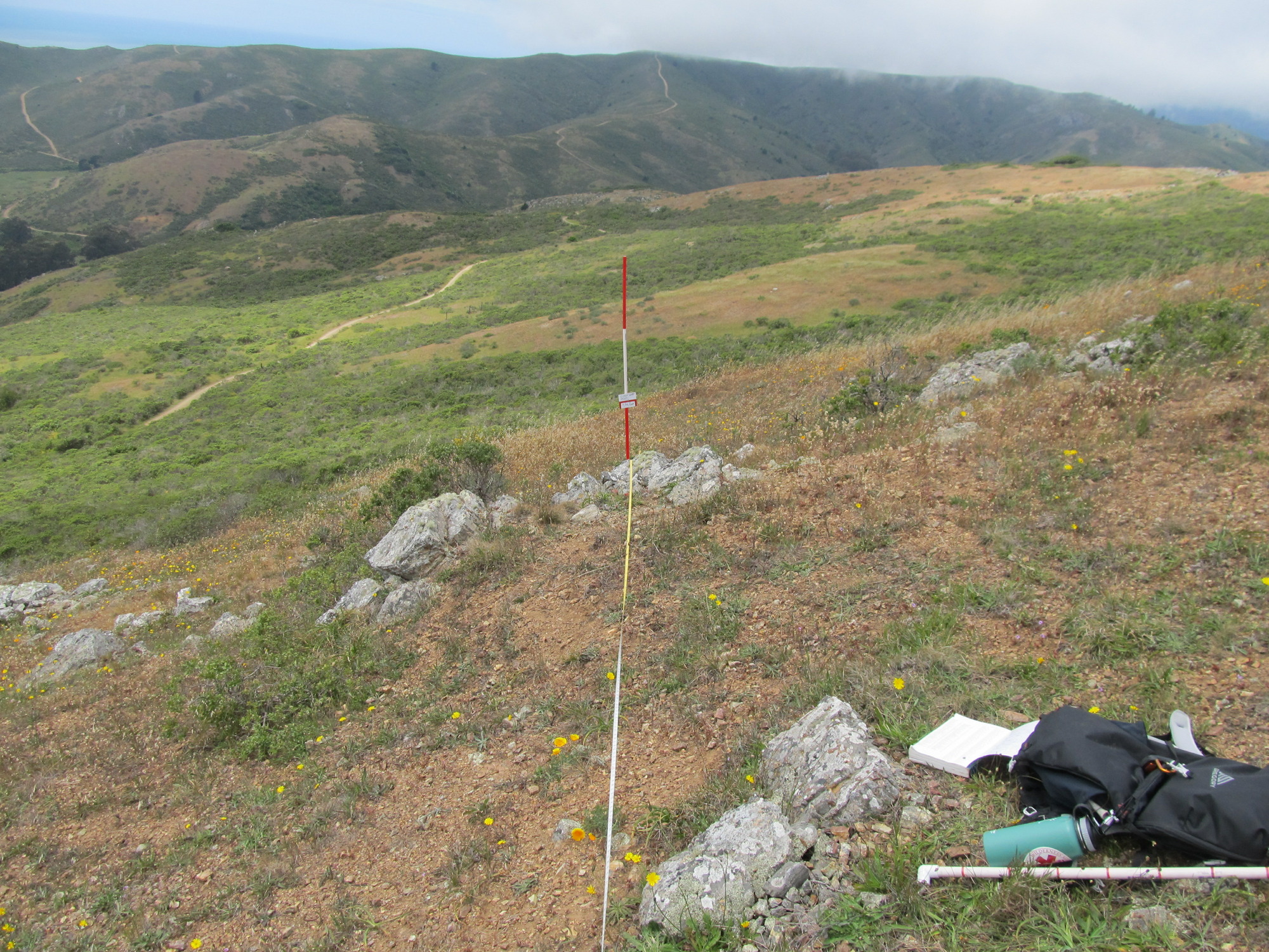 Eye-level view from the center point of a plant community monitoring plot