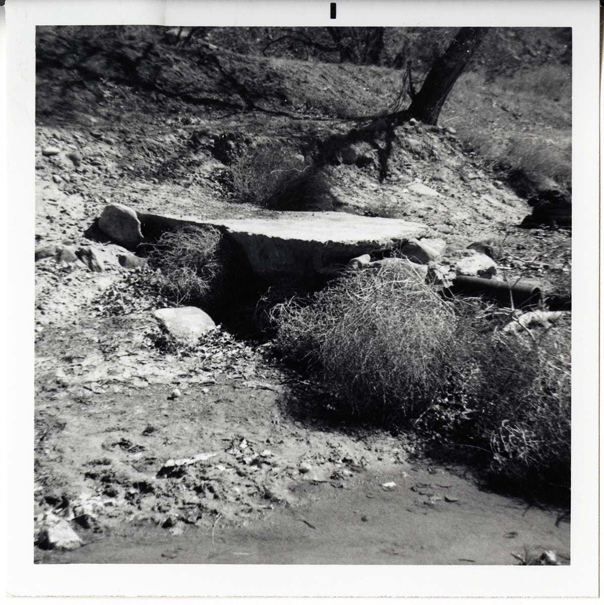 Drain pipe along a river/drainage.