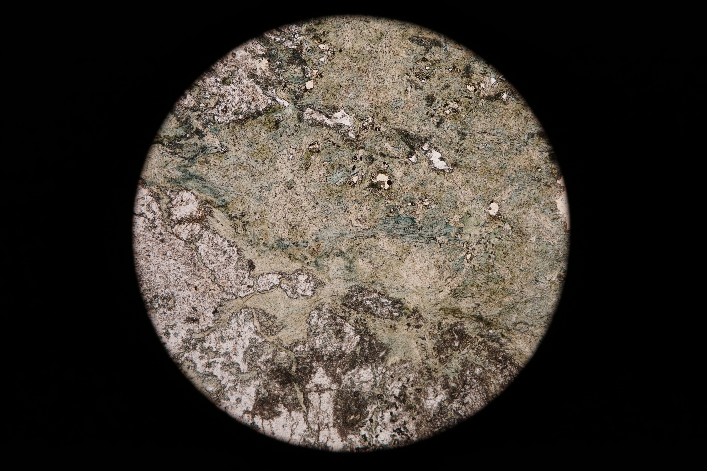Circular microscopic image of rock structure.