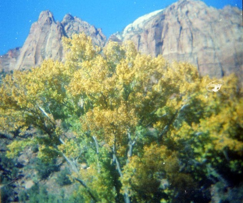 Color Photos of Zion Canyon.