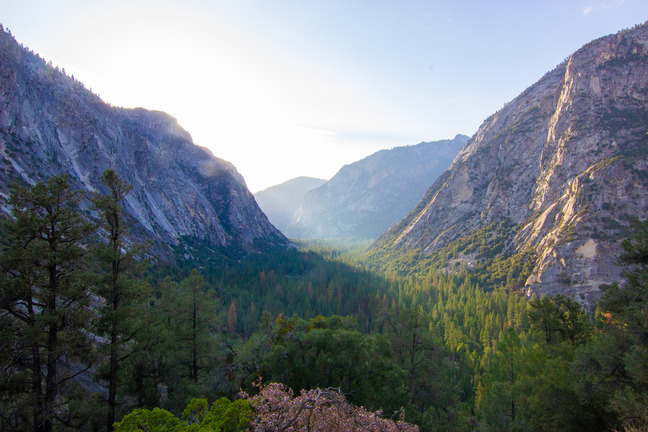 Granite cliffs on the left and right come together  with a green dense forest in the middle, with early morning light