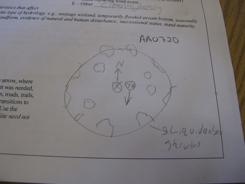 GRSM Accuracy Assessment. Plot Code: GRSM_AA_0720_7