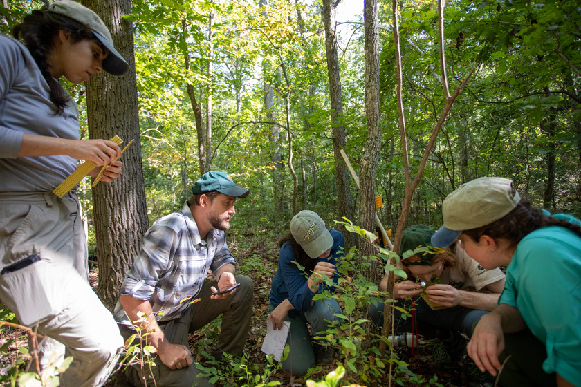Five biologists kneel around a plant. One of them holds a magnifying glass and looks up close