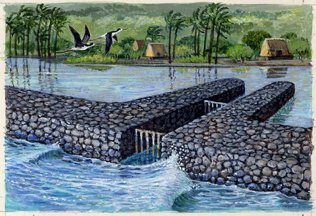 Spot illustration depicts fish traps with fish ponds - walled-in areas along the shore where fish are raised.