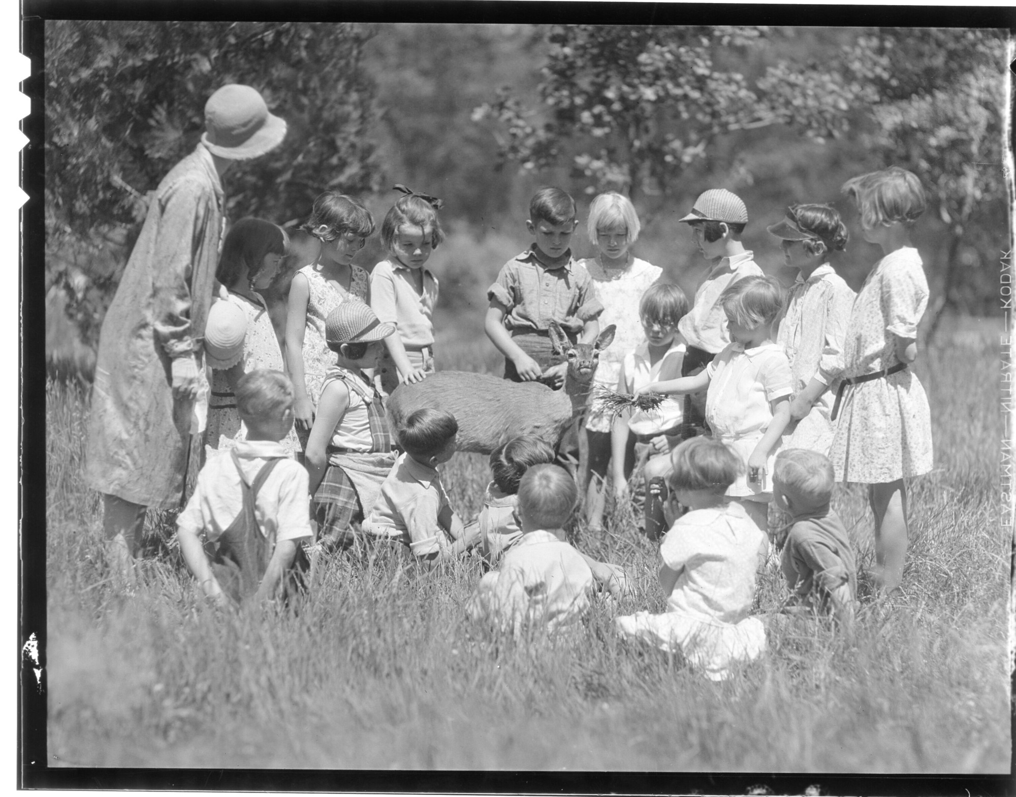 Yosemite Junior Nature School; Mrs. J.W. Emmert, leader