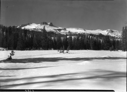 Mt. Hoffman from Snow Flat.