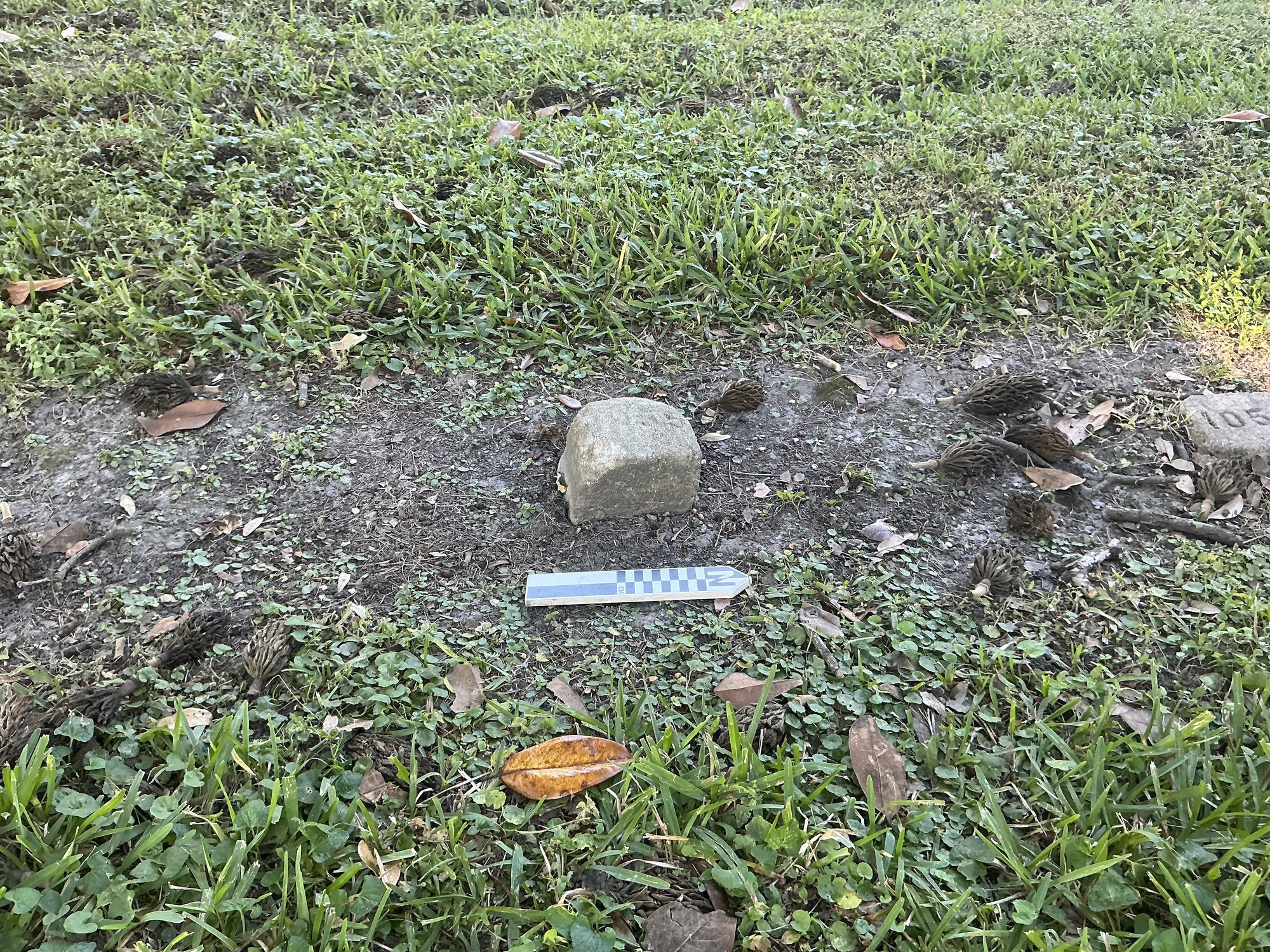 Extra image of flat marble marker