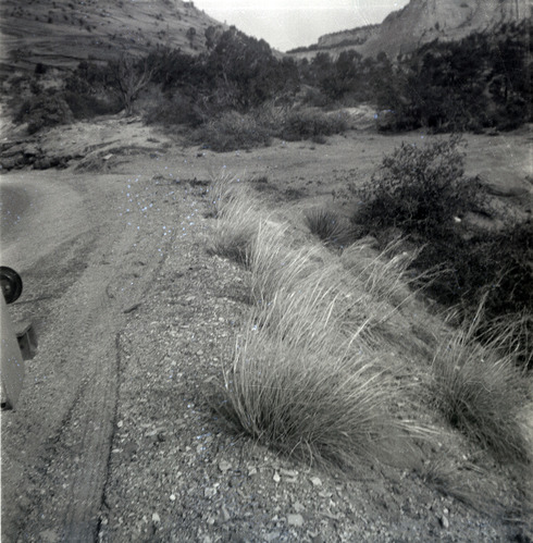 East side road repair and turn out construction.