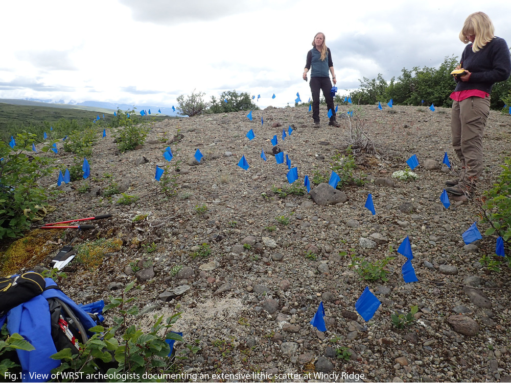 An archaeological site marked with blue flags.