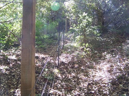 Coyote Peak Boundary Fence Before and After